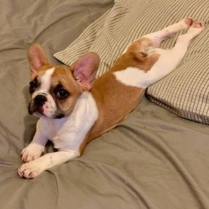 Meet your Posher, Irina